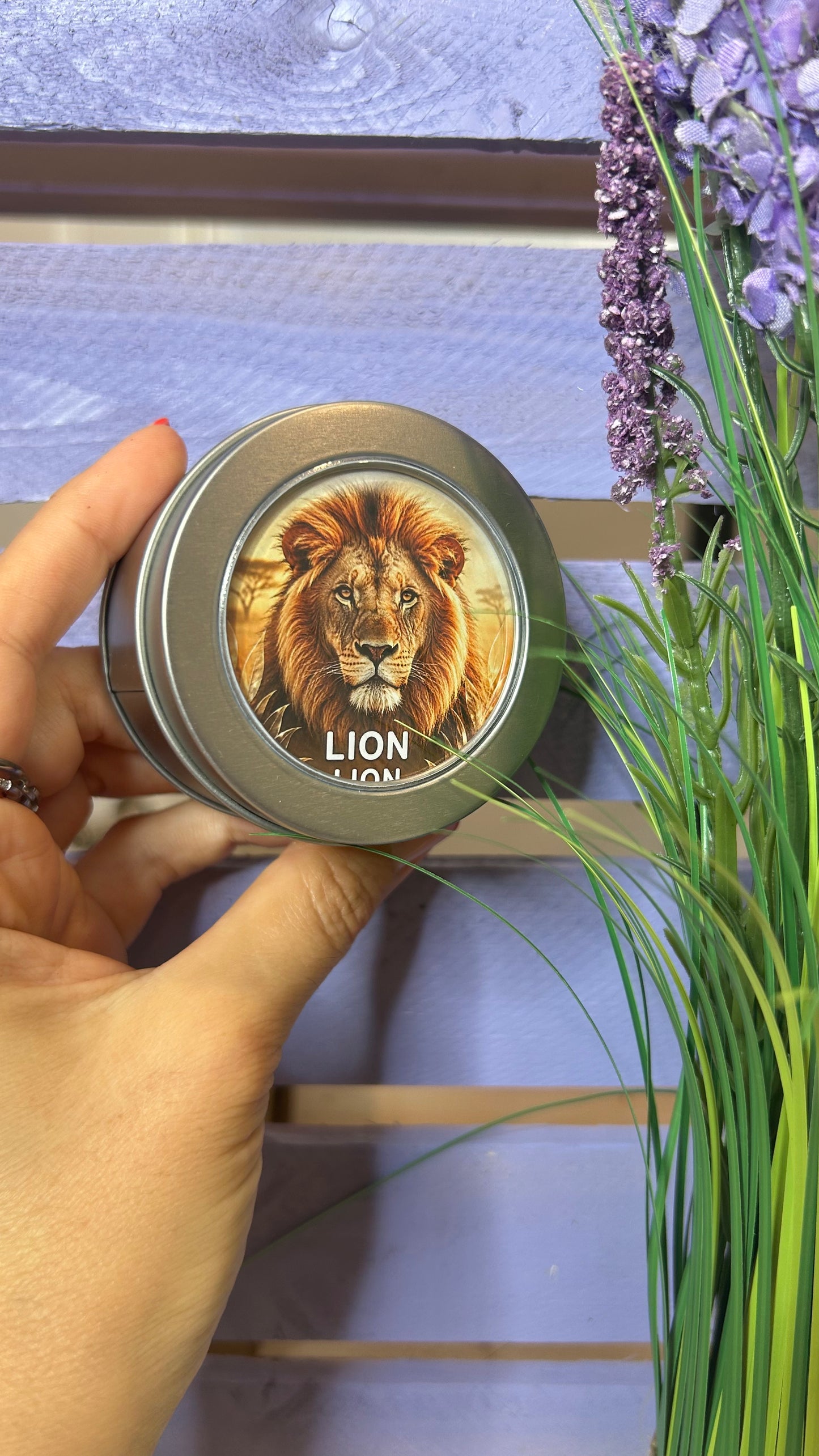 Wild Animals Magnets for kids | Set of 7