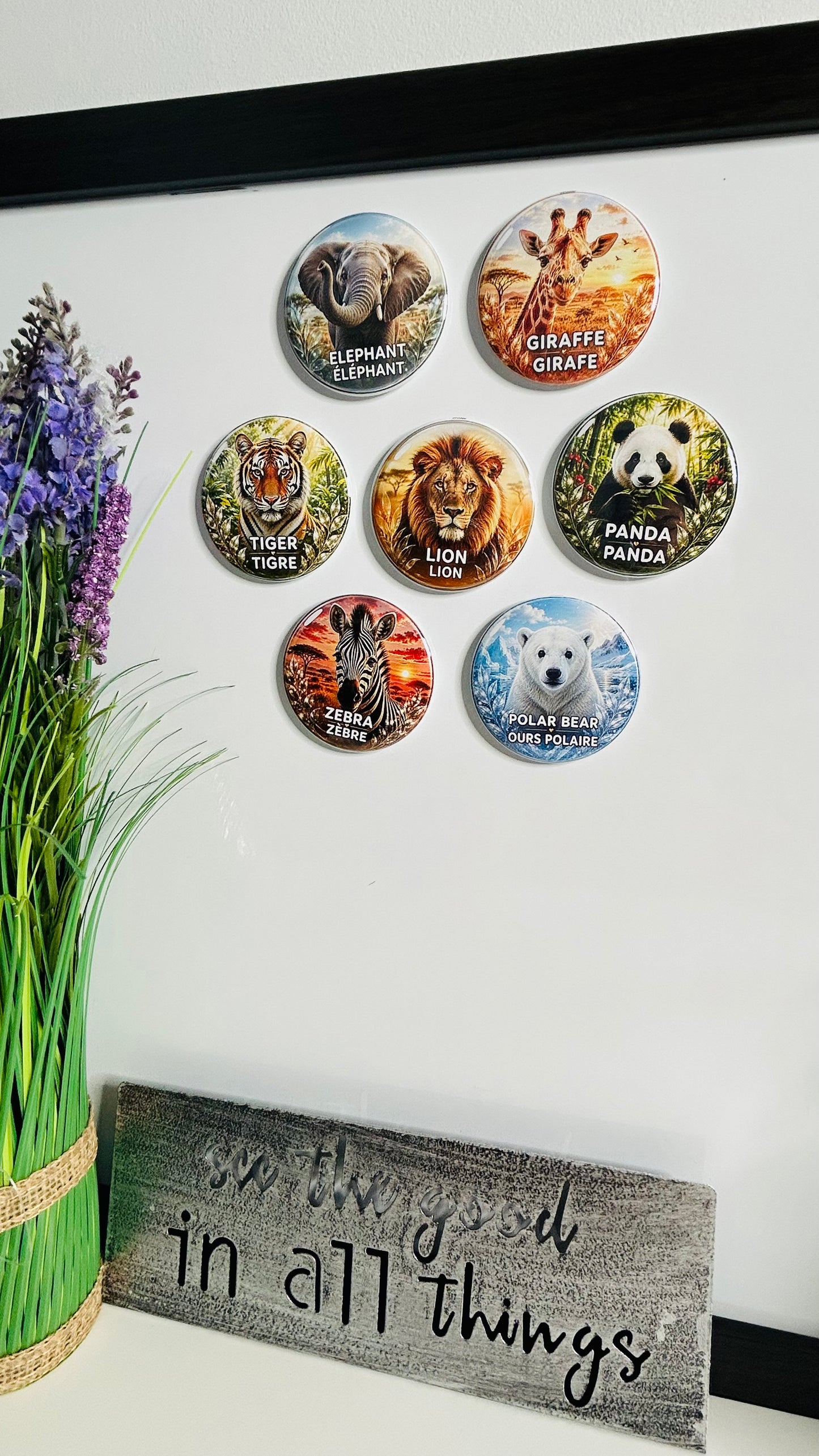 Wild Animals Magnets for kids | Set of 7